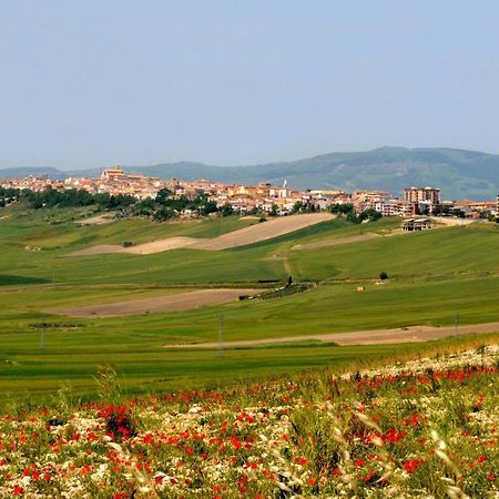 Alloggio Cattedrale Troia Esterno foto