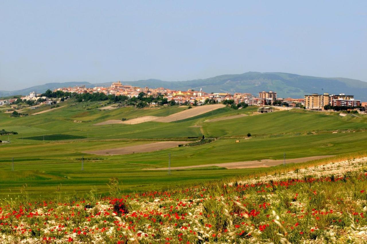 Alloggio Cattedrale Troia Esterno foto